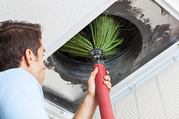 Best Home Air Vent Cleaning  in Sarasota, FL